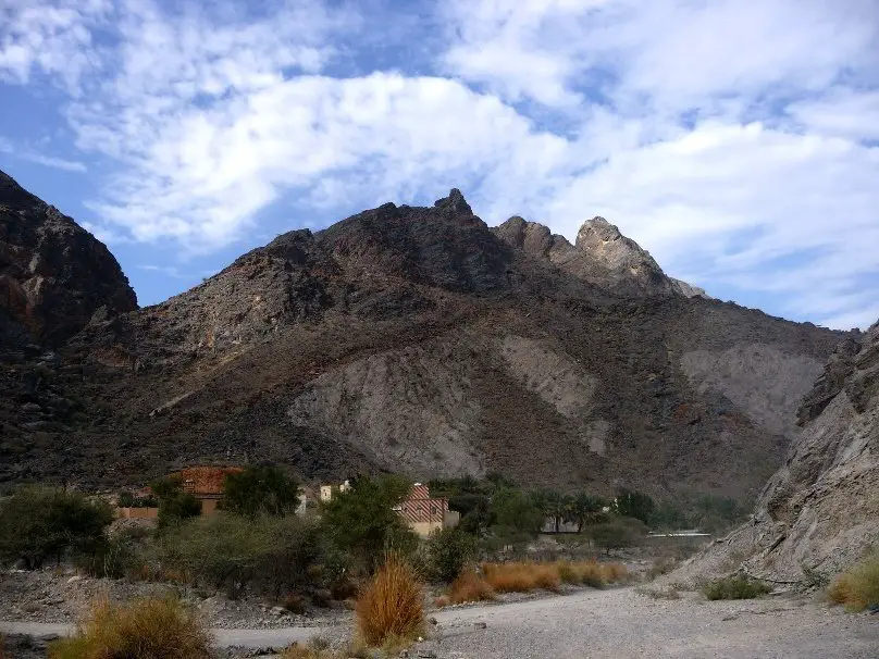 Flüchthörner pendant notre voyage escalade à Oman