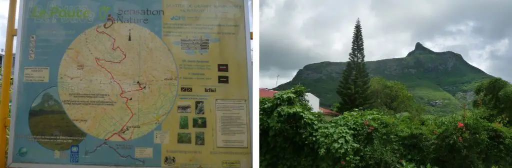 Randonnée au Pouce lors du voyage à l’Île Maurice