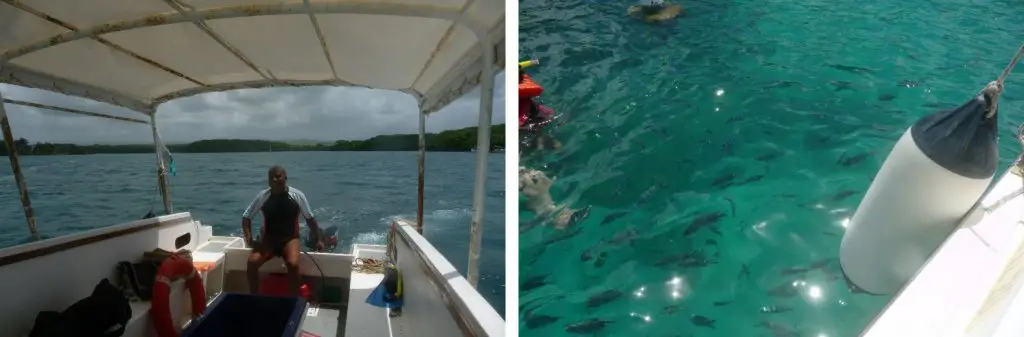 Snorkeling à Blue Bay durant mon voyage à l’Île Maurice