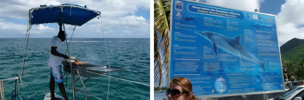Observation des dauphins durant mon voyage à l’Île Maurice
