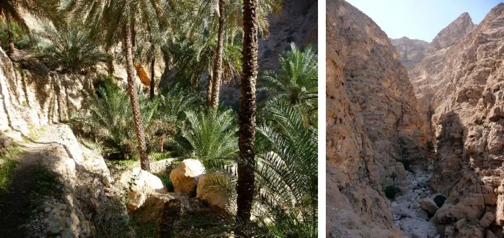 Canyon et palmeraie à Oman au cours du séjour grimpe à Oman