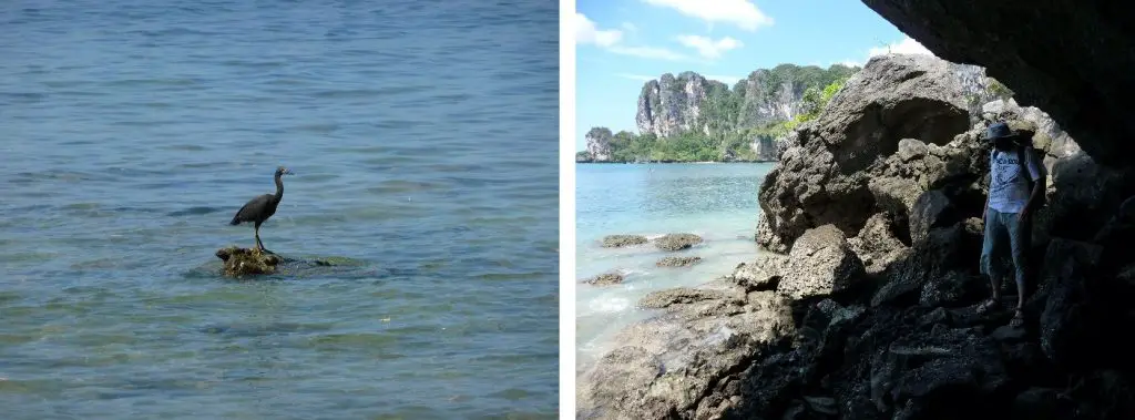 Balade en canoë en Thaïlande