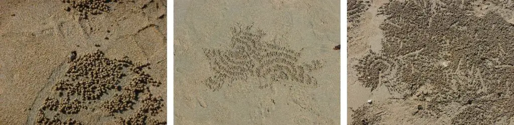 Sable des plages de Thaïlande