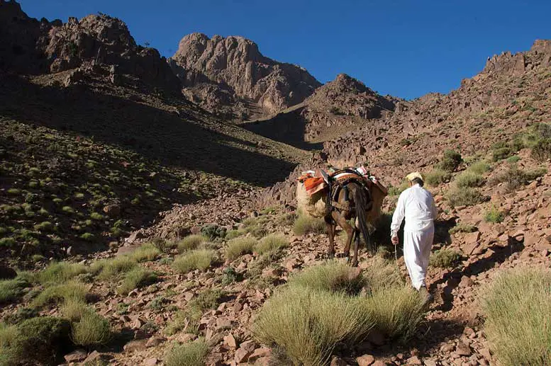 Randonner au Maroc avec avec le trekking du Saghro