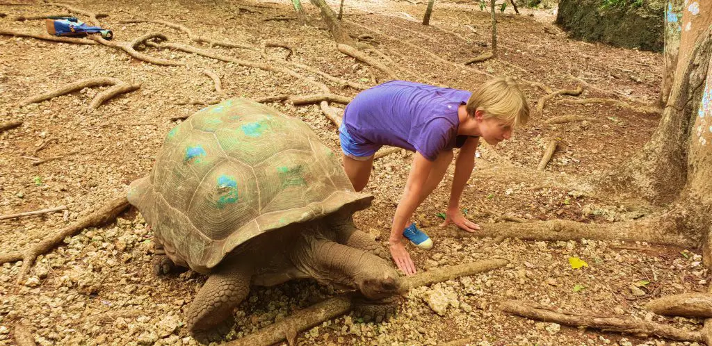 Ingrid faisant de la course à Zanzibar avec une tortue