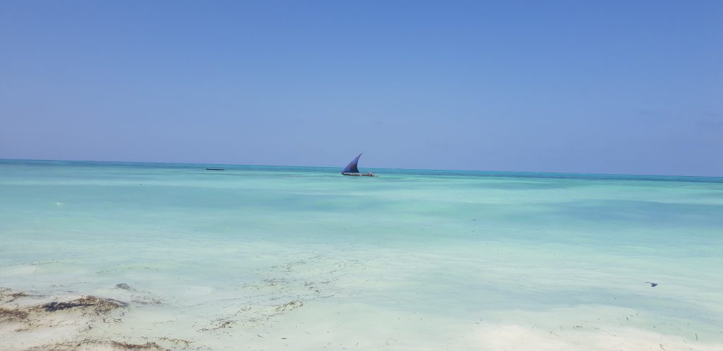 Catamaran de pêche typique sur l’Océan Indien à NUNGWI à Zanzibar