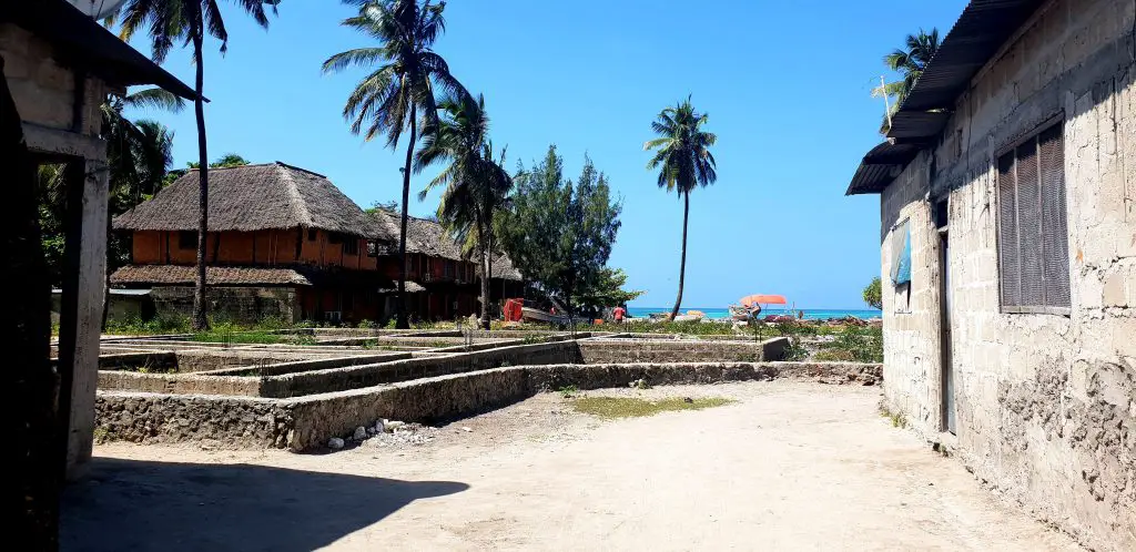 Maisons de bord de mer entourées de Palmiers du Village de NUNGWI à Zanzibar