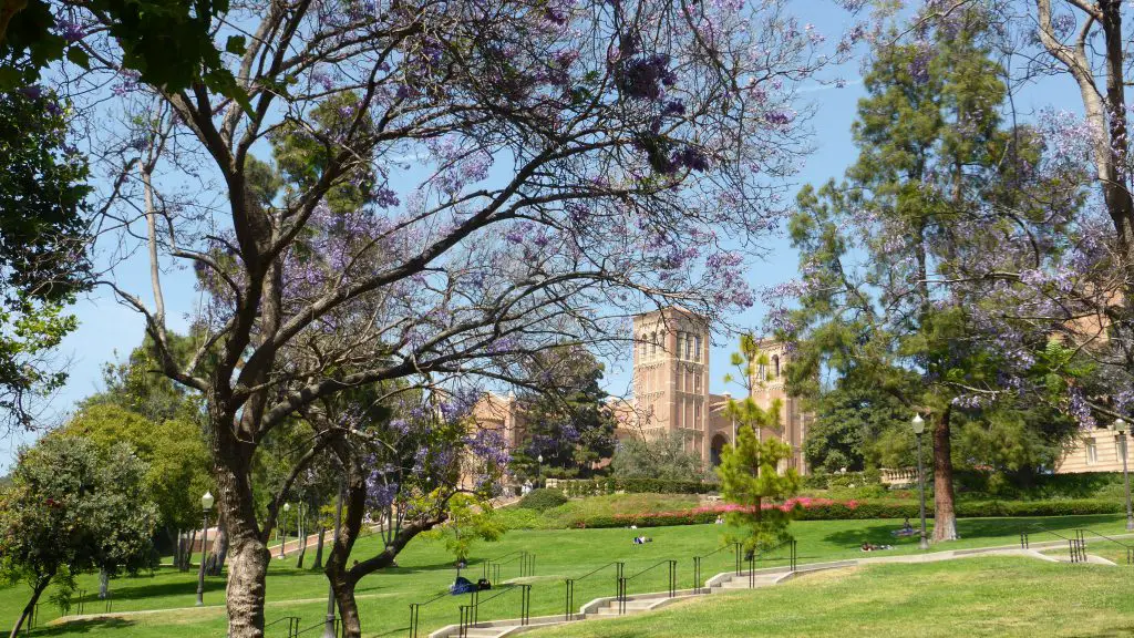Parcs et bâtiments de l'UCLA en Californie Parcs et bâtiments de l'UCLA à Los Angeles