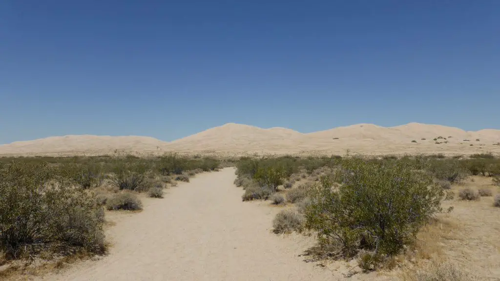 Kelso Dunes en direction de Las Vegas, lors de notre roadtrip aux USA