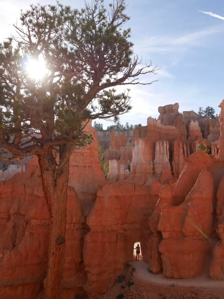 En serpentant dans Bryce Canyon