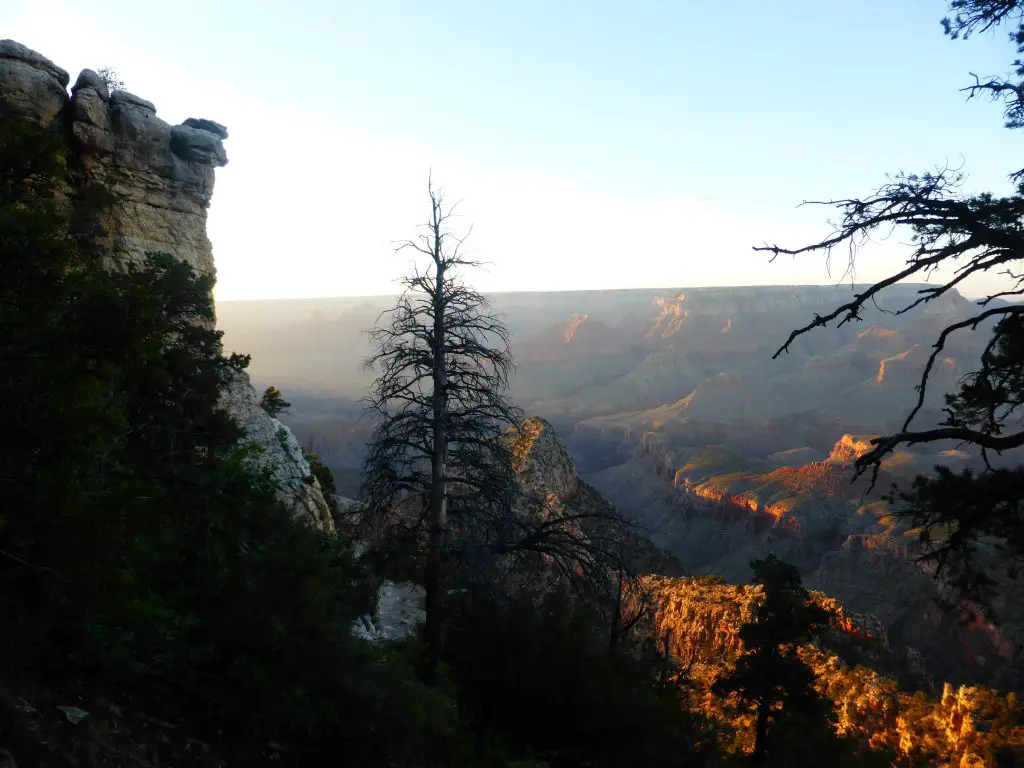 Rim Trail au grand canyon