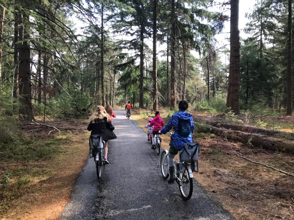 Balade en vélo dans le Parc National de Hoge Veluwe