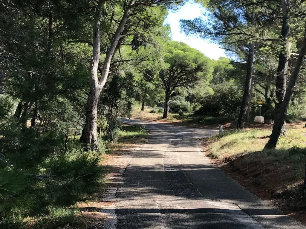 Sur les routes des alpilles pour une randonnée à vélo