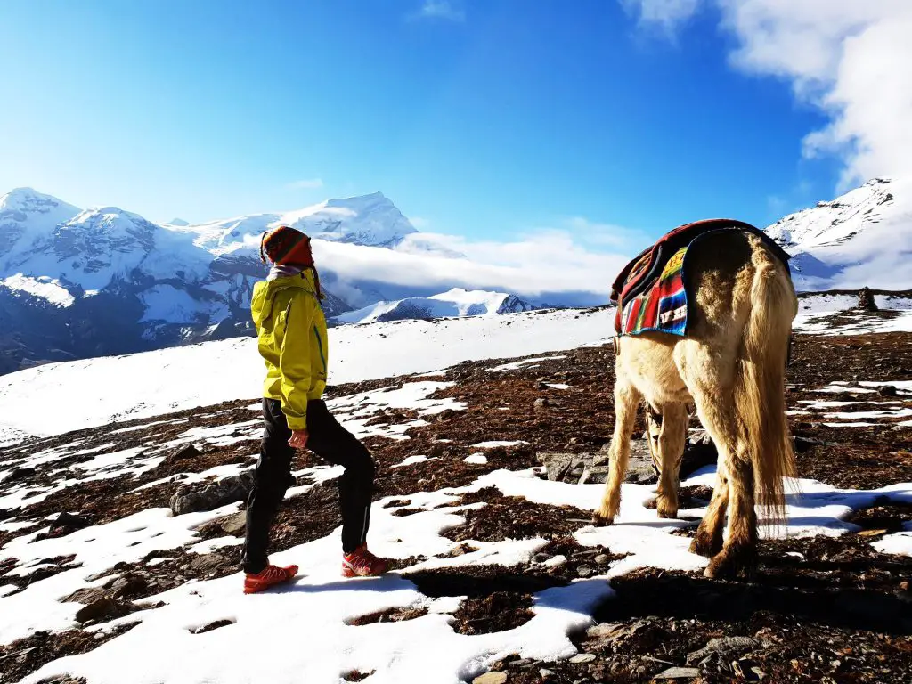 11 jours de Trek sur le Tour des Annapurnas au Népal