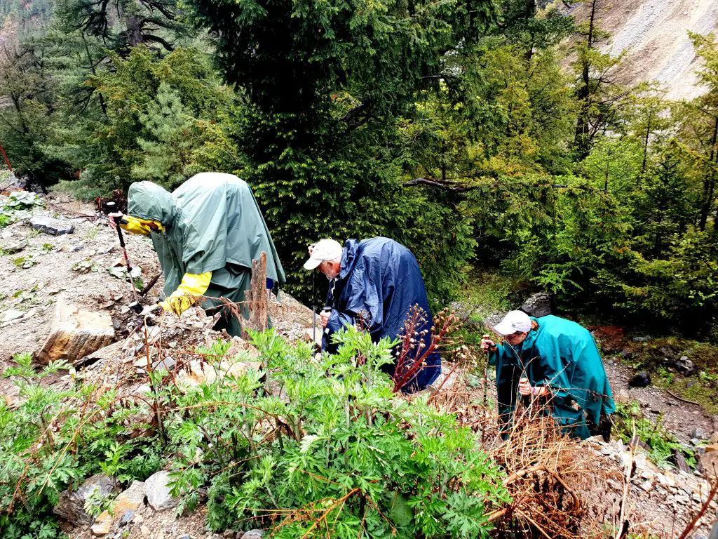 C’est vêtu de nos capes de pluie, que nous évoluons dans les montagnes du Tour des Annapurnas au Nepal