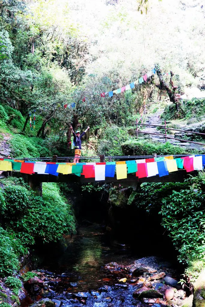 Sur la redescente vers Pkhara on profite encore des paysages superbes et de tous ces drapeaux colorés