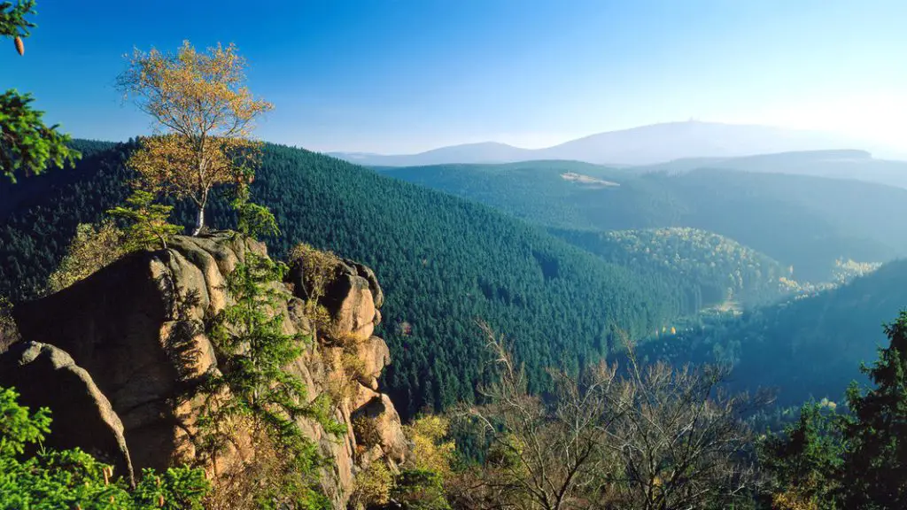 Randonnée dans le Parc national du Harz en Allemagne