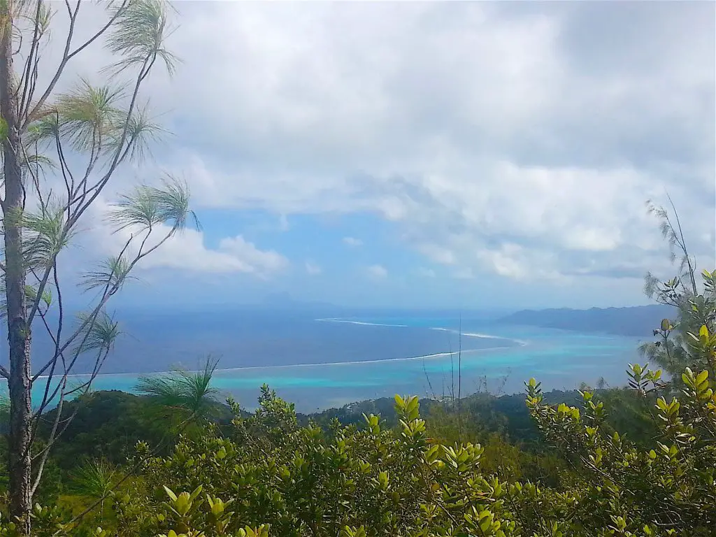 Randonnée vers le Mont Temehani en Polynésie Française
