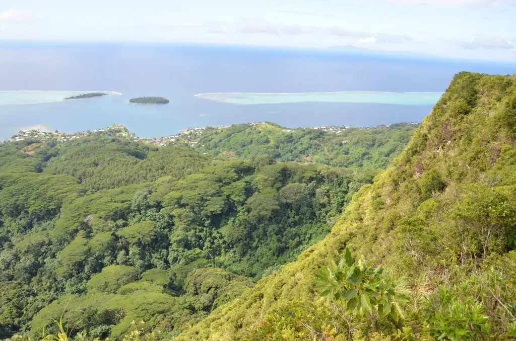 Randonnée vers le Mont Orotaio en Polynésie Française Randonnée vers le Mont Orotaio en Polynésie Française