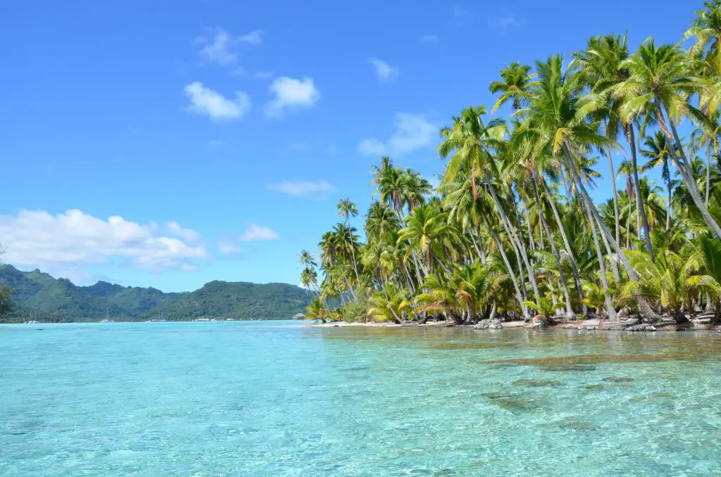 Découverte du jardin de corail sur l'ile de Tahaa en Polynésie Française Découverte du jardin de corail sur l