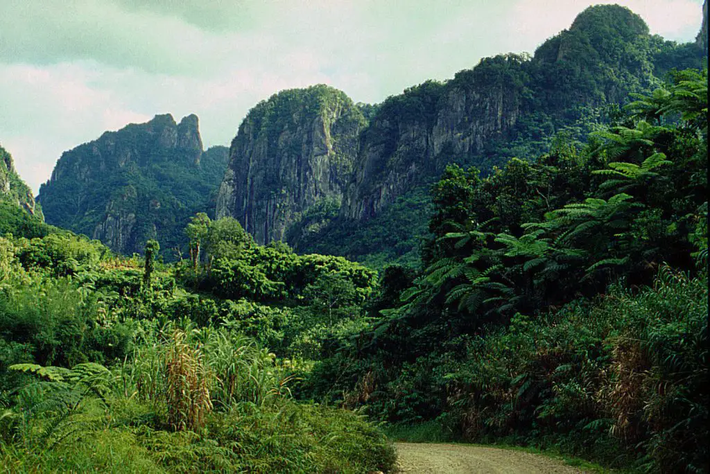 Voyage à Viti Levu aux Fidji