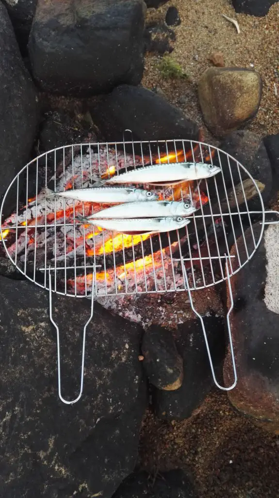 Grillade de maquereaux après notre pêche entre 2 randonnées en Norvège