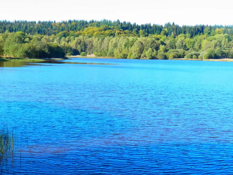 Domaine de Vatanges Réservoir de pêche à la mouche près de clermont-Ferrand