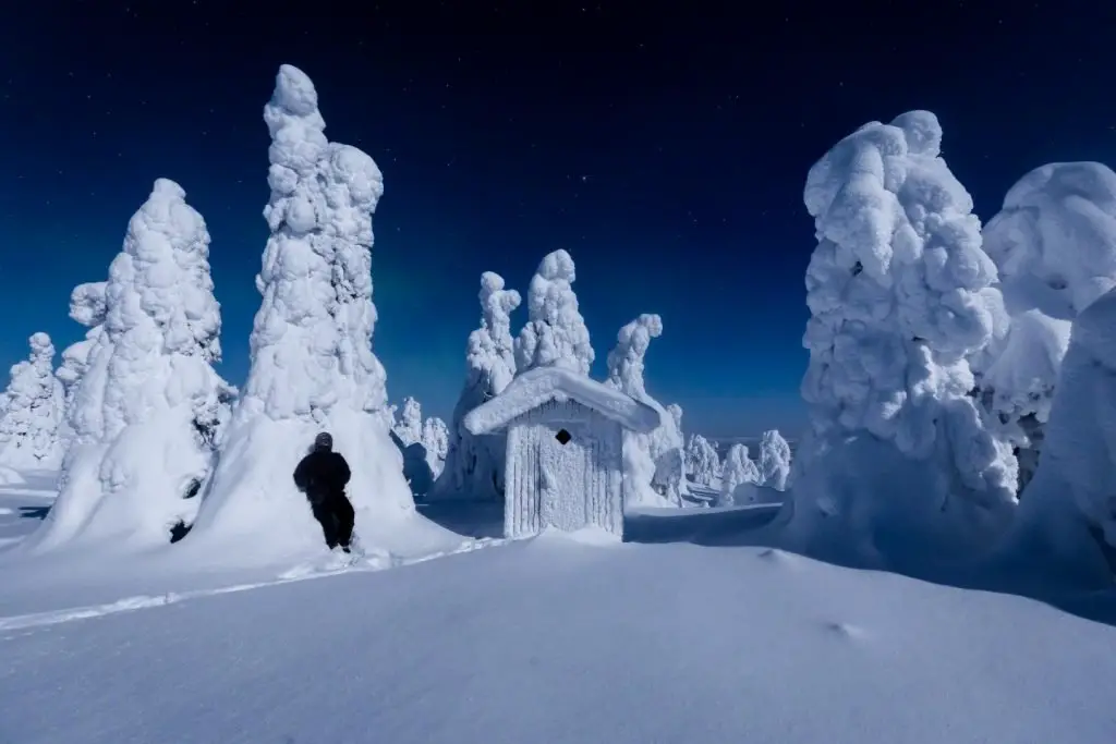 Paysage enneigé sur les plaines et forêt de Livaara en Finlande