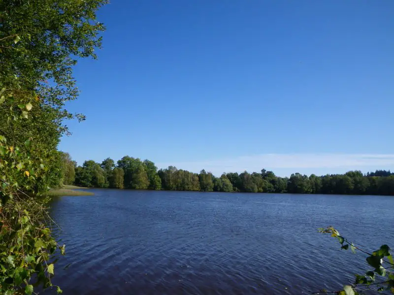 Réservoir de pêche à la mouche au Domaine de Vatanges près de clermont-Ferrand