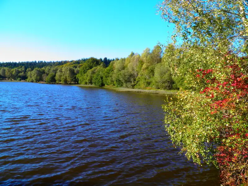 Réservoir de pêche à la mouche au Domaine de Vatanges