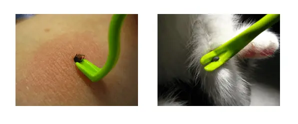 Le crochet Tick Twister® by O’tom ® est un instrument pour enlever les tiques parasites de la peau des animaux et de l’homme