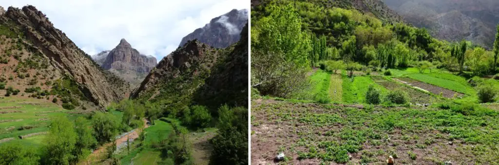 Taghia au maroc lors du printemps