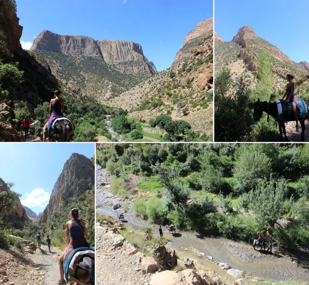 A dos de mule vers les montagnes berberes du maroc