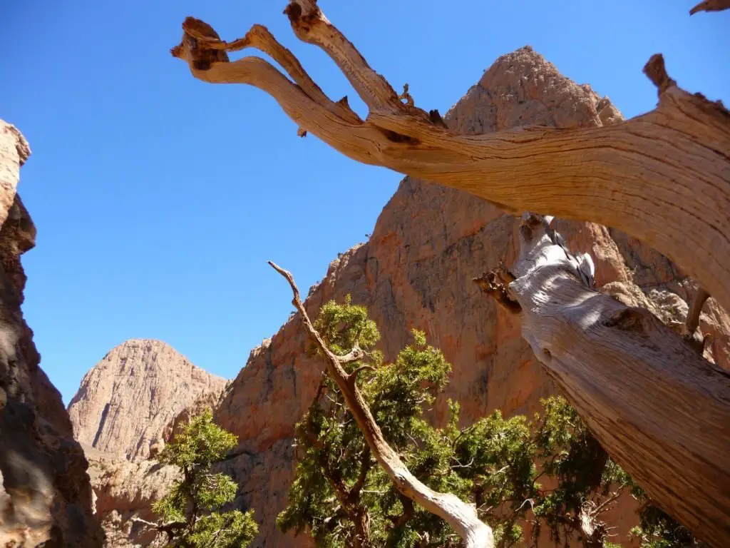 Aventures dans les montagnes berberes au maroc