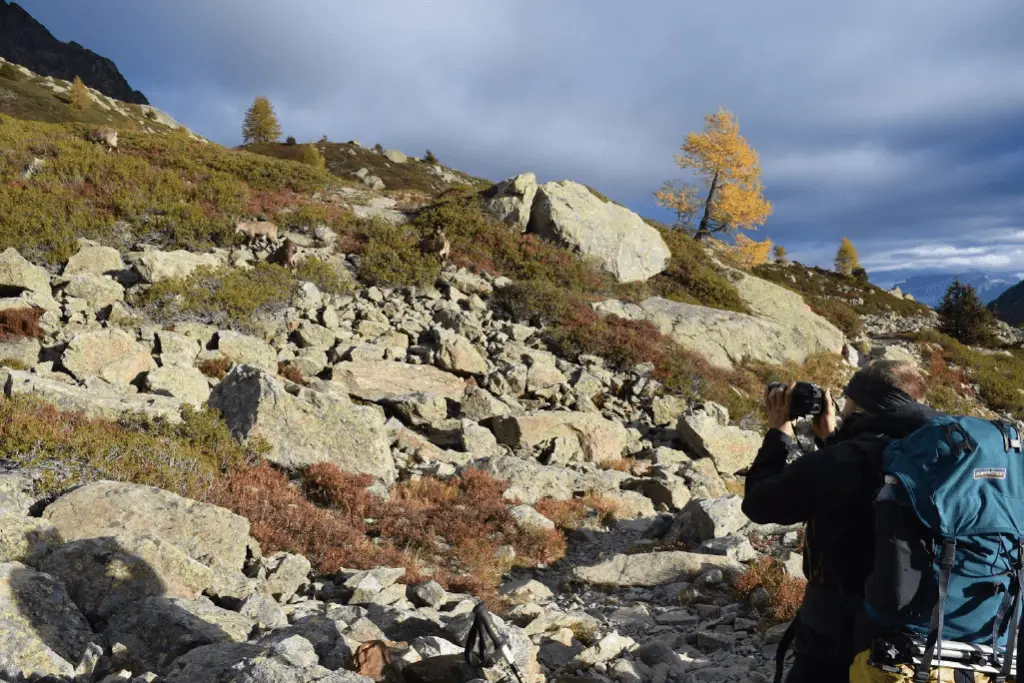 Léandre et son sac à dos dans les Alpes près de Chamonix, capturant la faune par une belle journée d'automne. (Photo crédit : Becca Brewer)