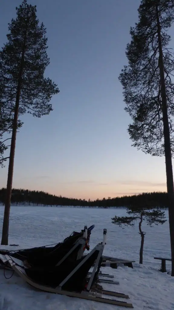 Paysage après le chien de traîneau en Laponie suédoise
