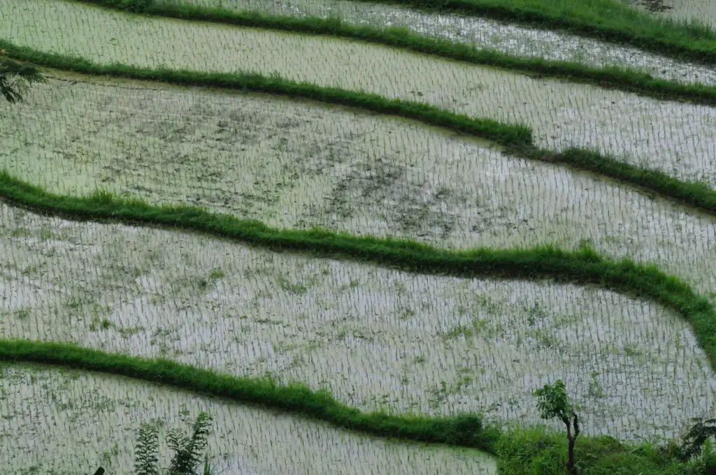 Voyage dans les paysages de Bali 