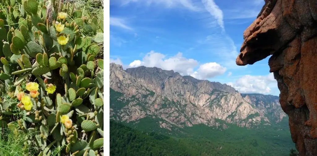 Vue sur la nature lors de notre session d'escalade en Corse