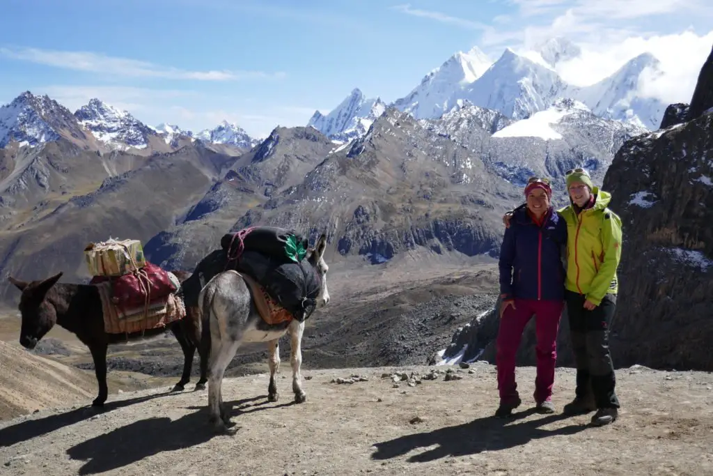 arrivée au col Cuyoc (4950m) avec les mules