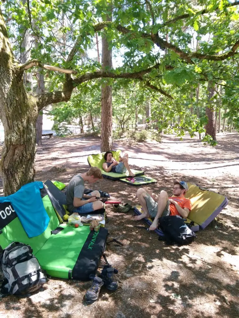 assis sur les pads dans la forêt de fontainebleau