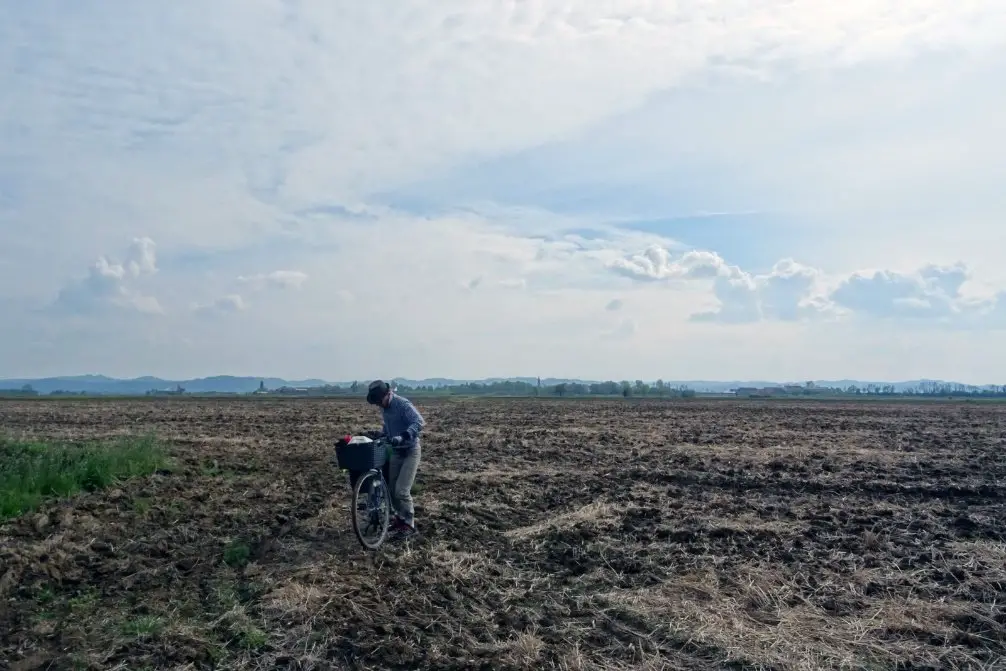 Au milieu des champs dans le piémont en Italie