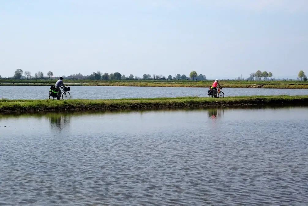 Au milieu des rizières à vélo dans le Piémont