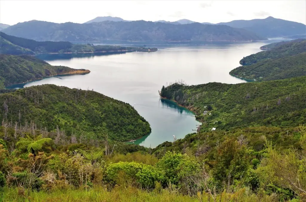 Bay of many coves en Nouvelle-Zélande