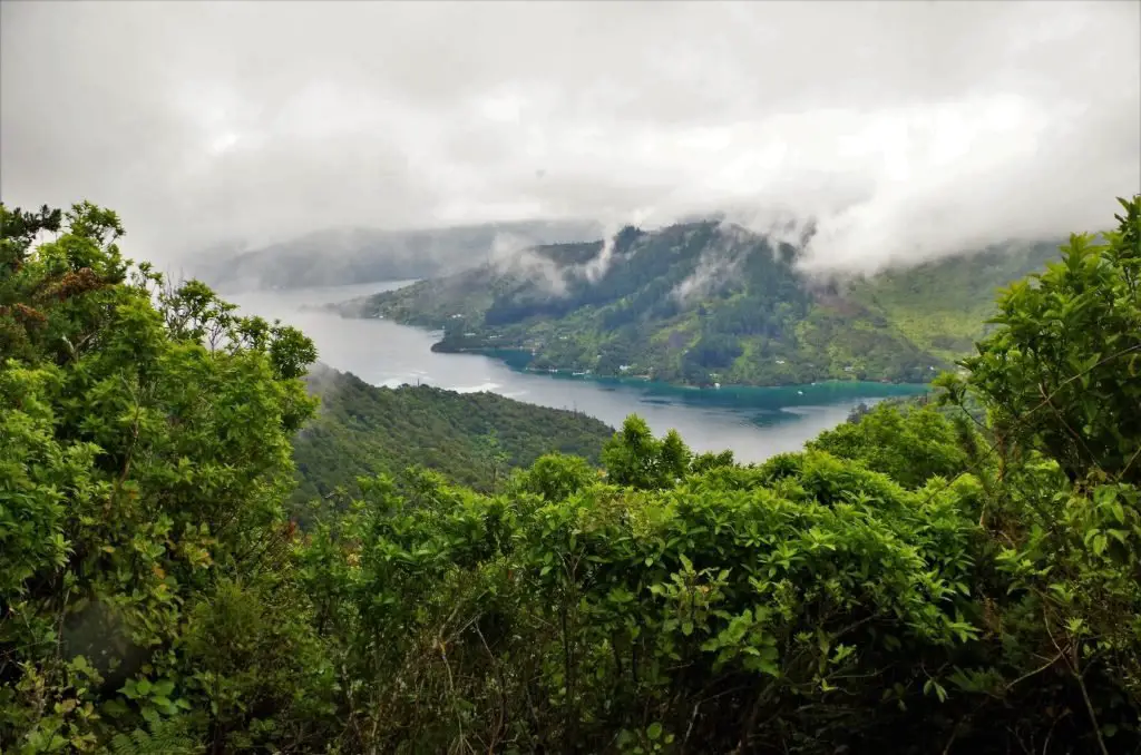 Brume sur les paysages de la Nouvelle-Zélande sur le Queen Charlotte Track