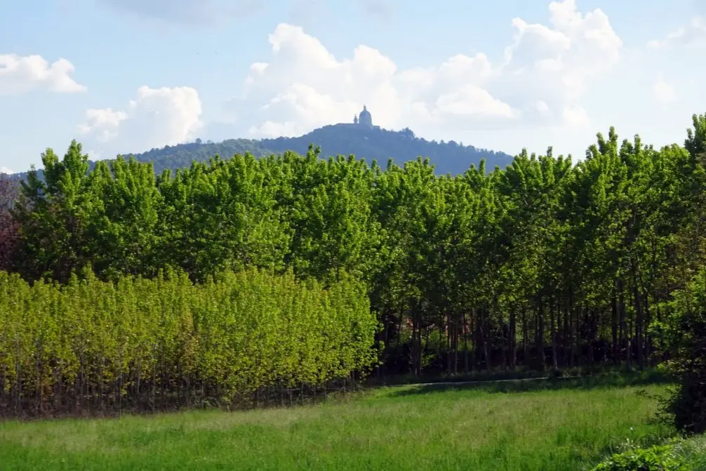 Campagne turinoise et basilique de Superga en arrière-plan