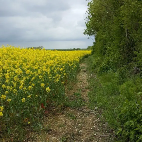 Chemin emprunté lors de ma marche en solitaire entre Paris et Amiens