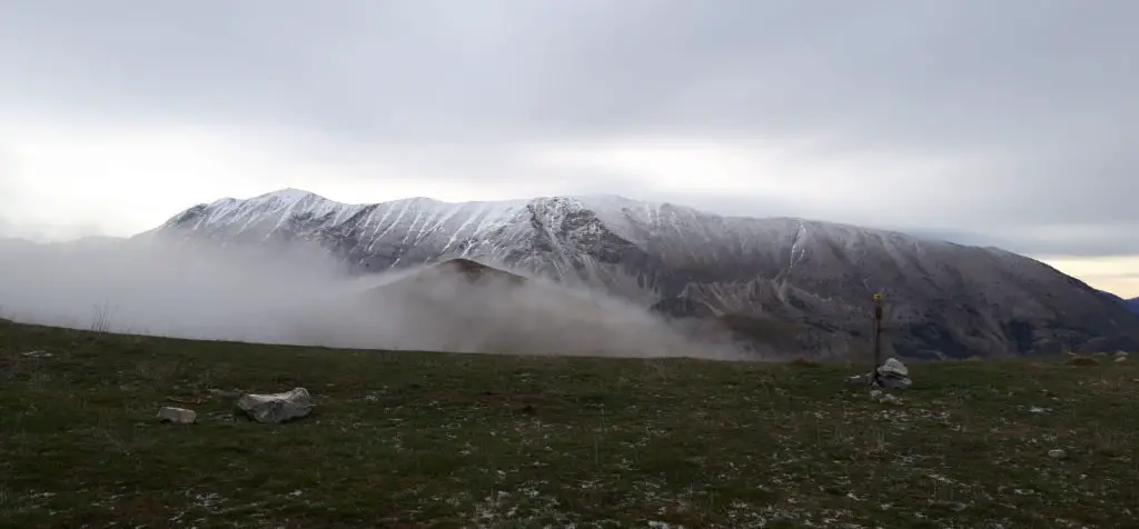 Cheval Blanc dans les Alpes Haute-Provence