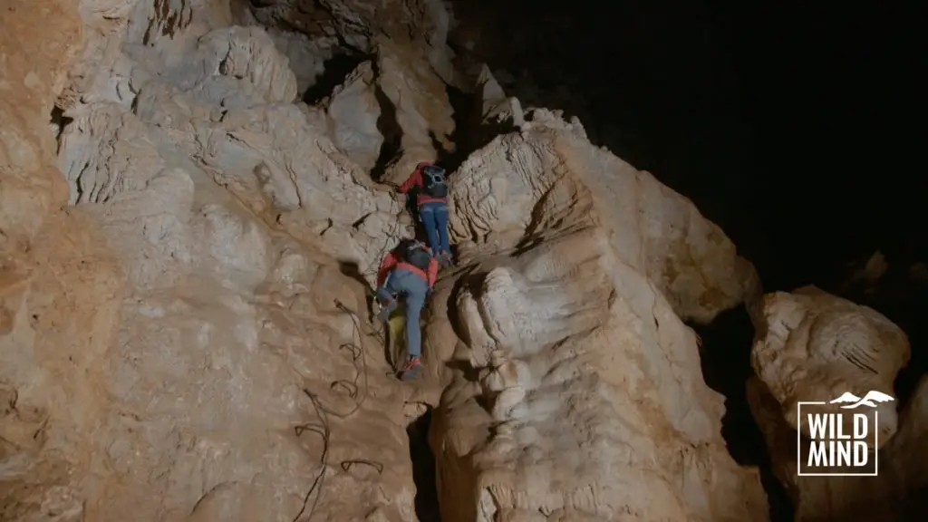 Découverte des grottes du Thaurac avec WildMind