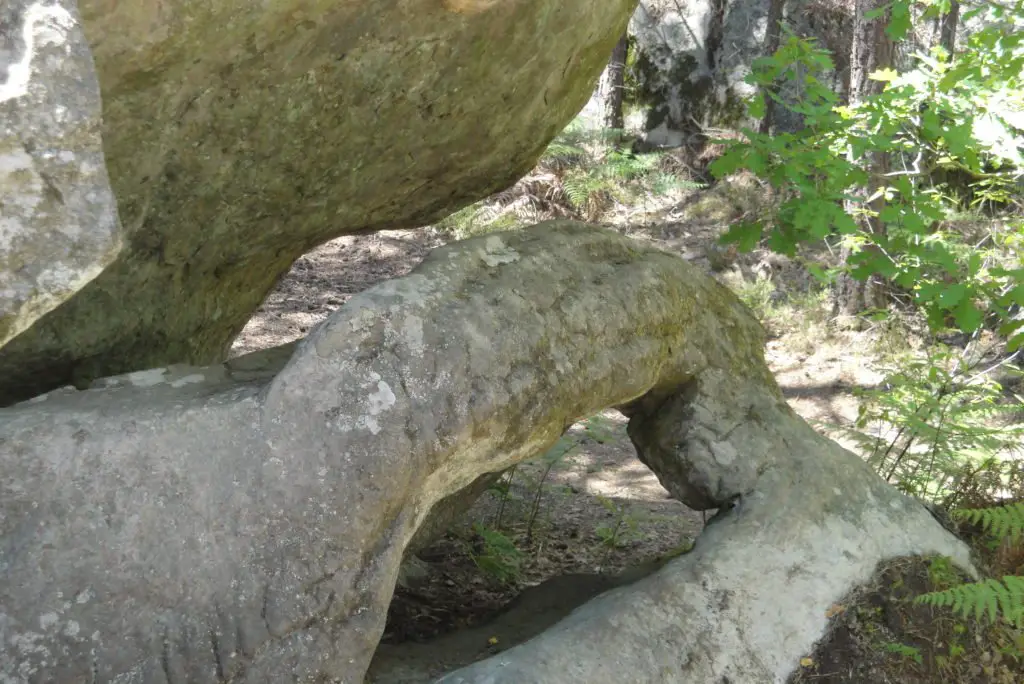 bloc d'escalade aux formes étranges à Fontainebleau