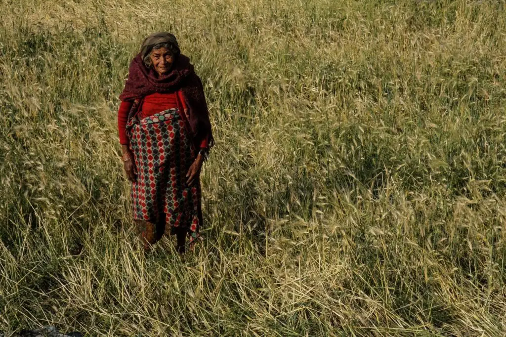 Une grand-mère vaque aux champs au Népal